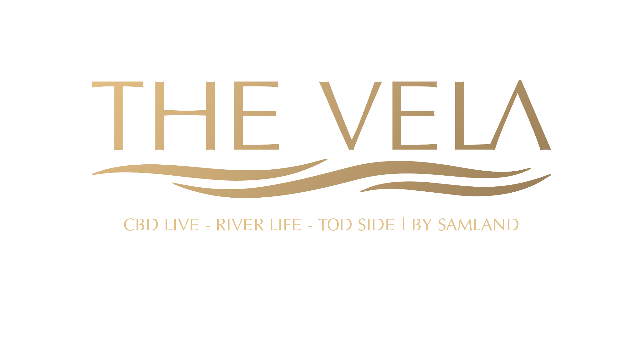 The Vela